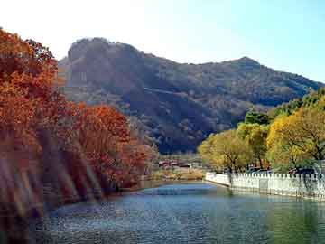 澳门天天开奖免费资料，跆拳道太子妃